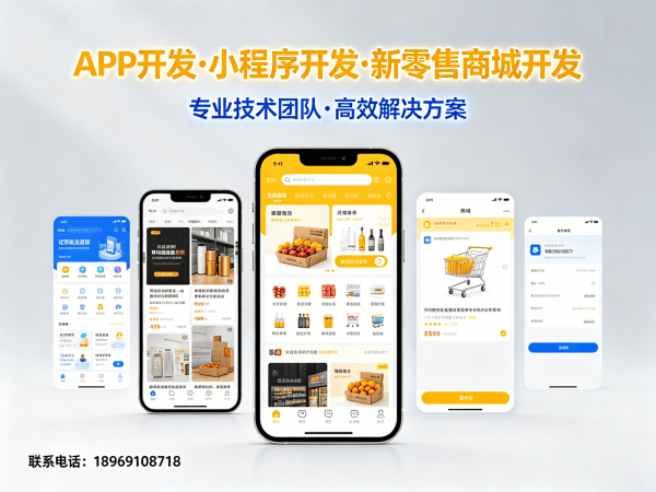 常州消费返利商城开发：云仓库存管理解决方案全面解析